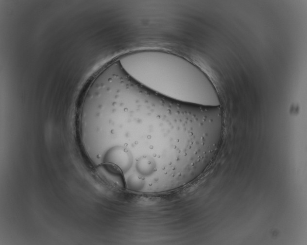X0000096630346200802050939