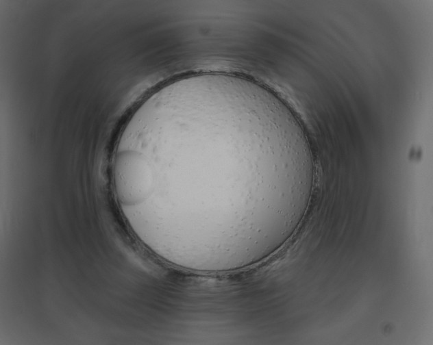 X0000096630347200802050939