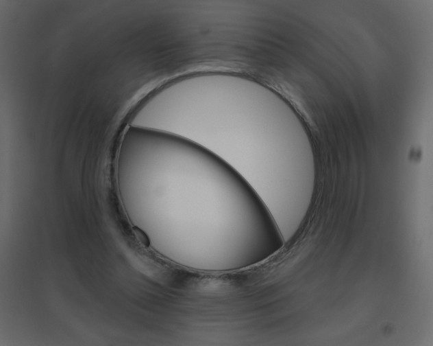 X0000096630348200802050939