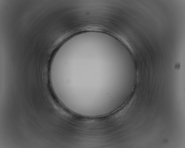 X0000096630349200802050939