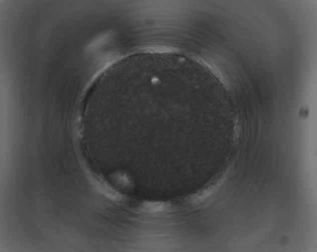 X0000096630351200802050939