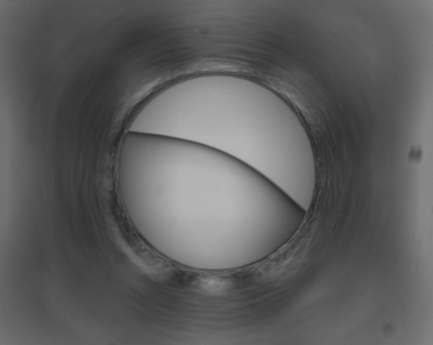 X0000096630352200802050939