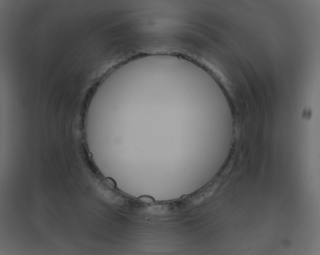 X0000096630353200802050939