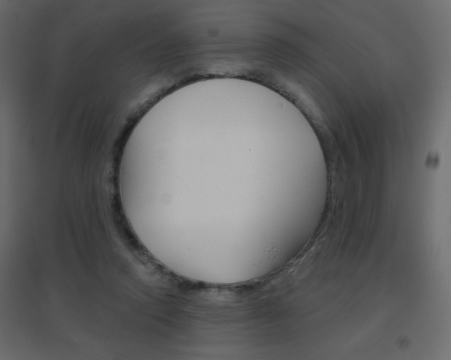 X0000096630354200802050939