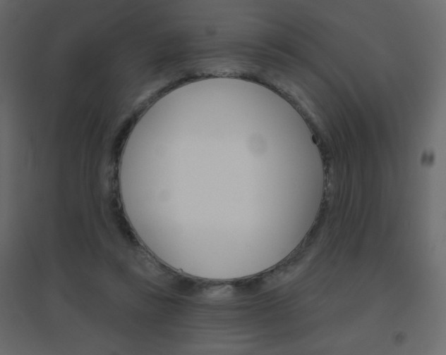 X0000096630355200802050939