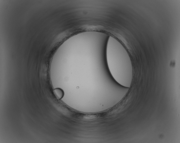 X0000096630357200802050939