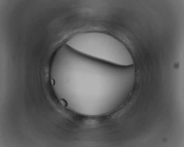 X0000096630358200802050940