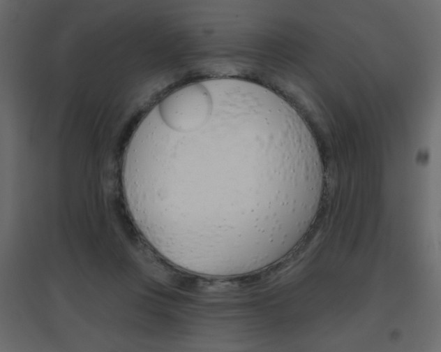 X0000096630359200802050940