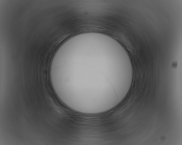 X0000096630360200802050940
