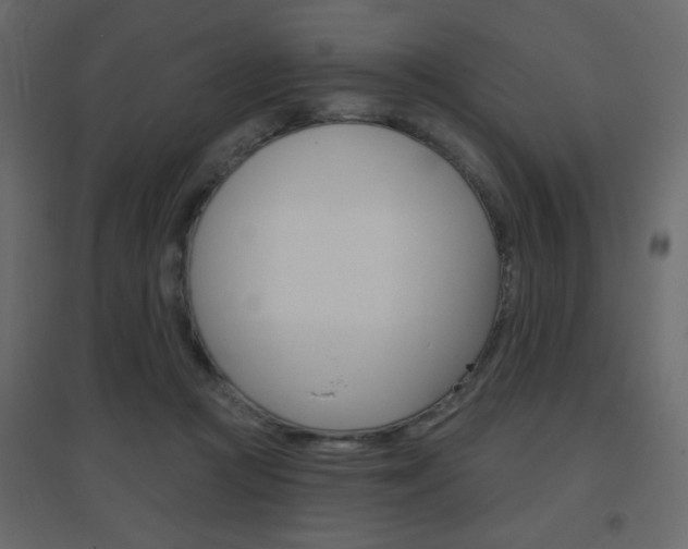 X0000096630361200802050940