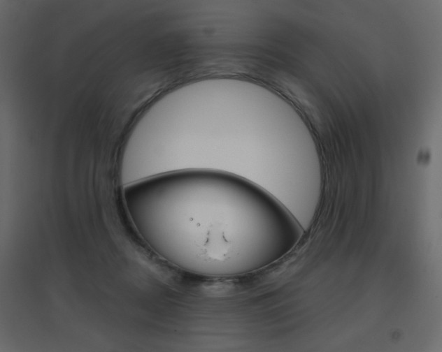 X0000096630362200802050940