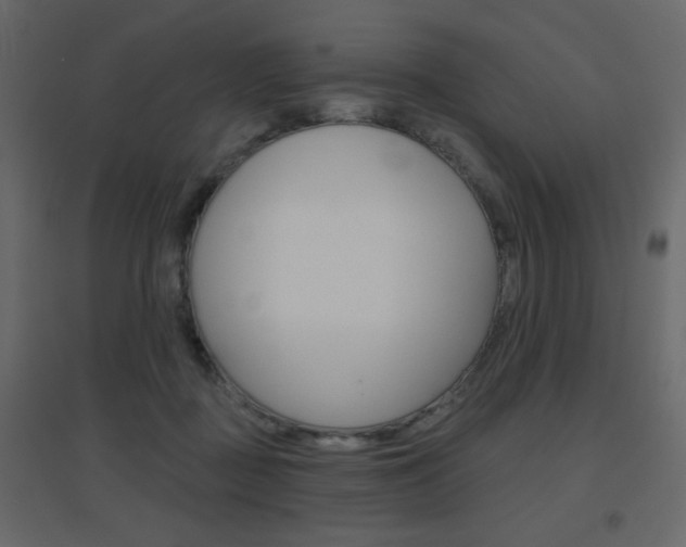 X0000096630363200802050940