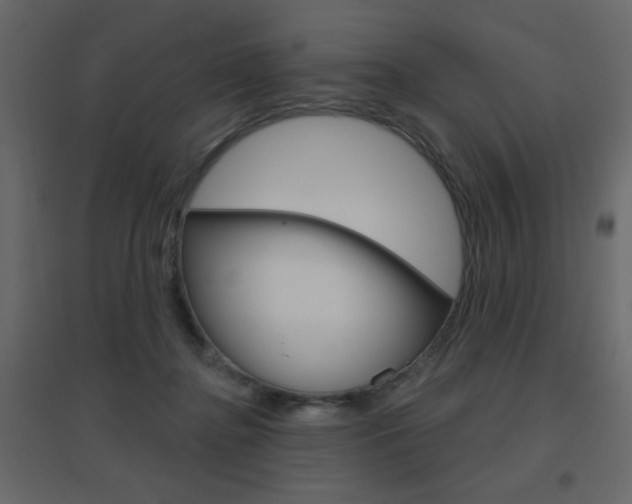 X0000096630364200802050940