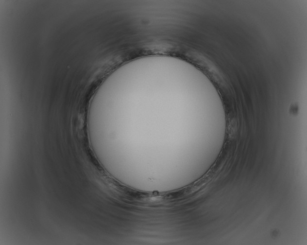 X0000096630365200802050940