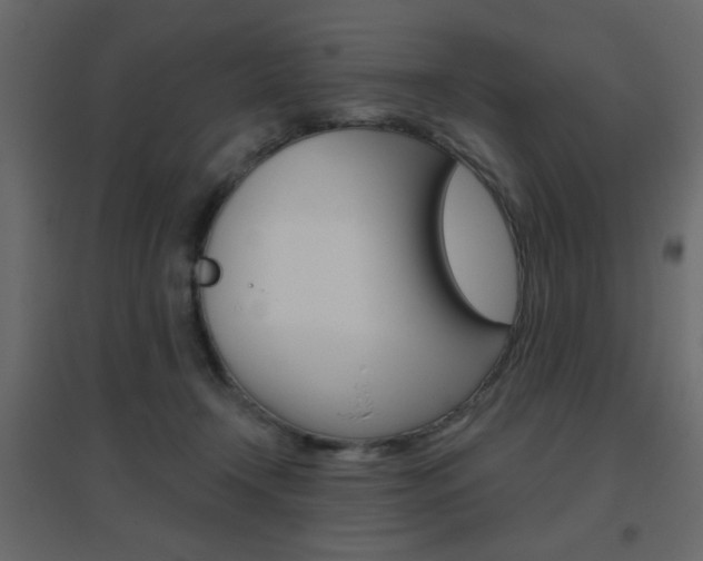 X0000096630366200802050940