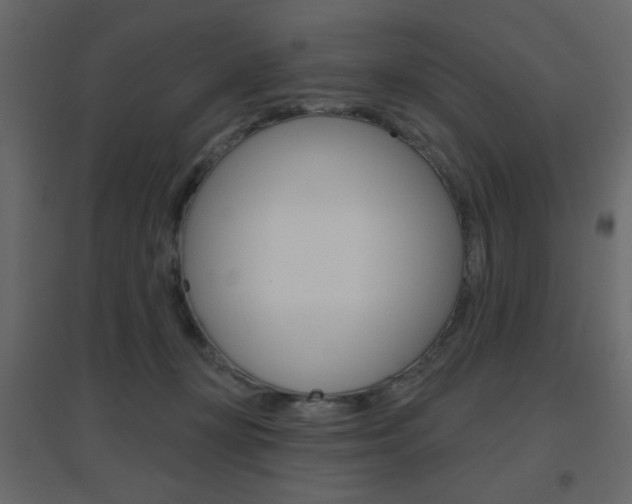 X0000096630367200802050940