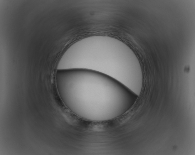 X0000096630368200802050940