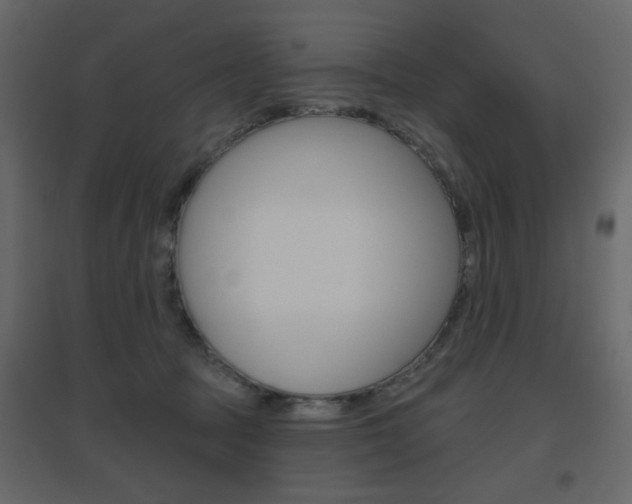 X0000096630369200802050940