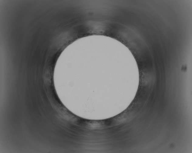 X0000096630370200802050940