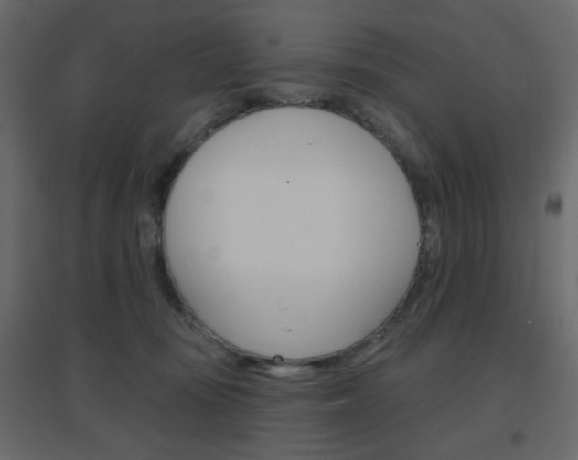 X0000096630371200802050940