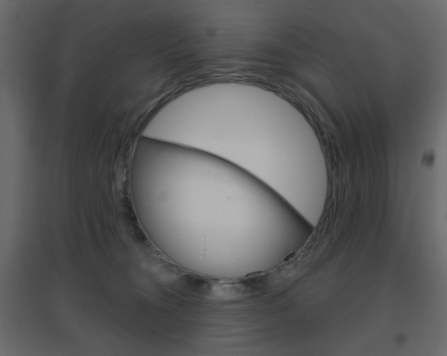 X0000096630372200802050940