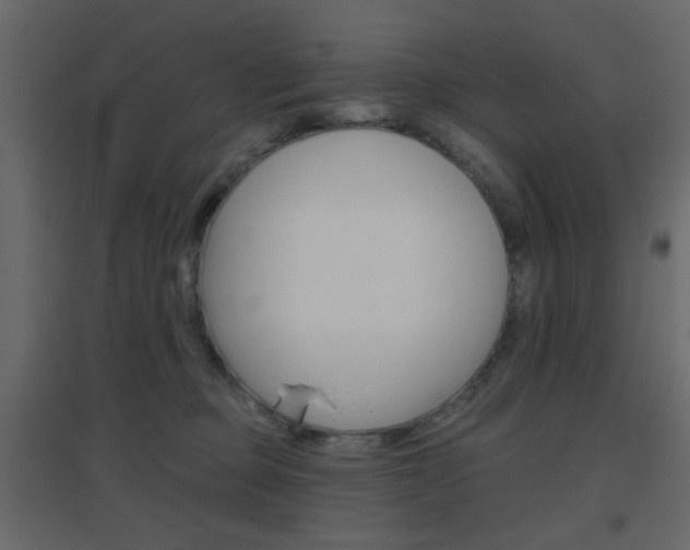 X0000096630373200802050940