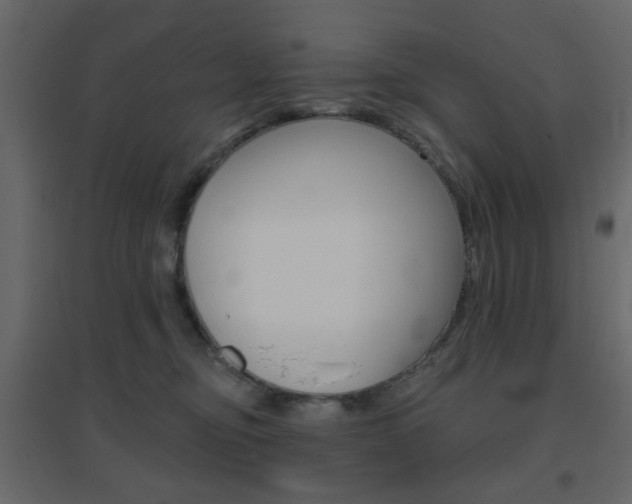 X0000096630374200802050940