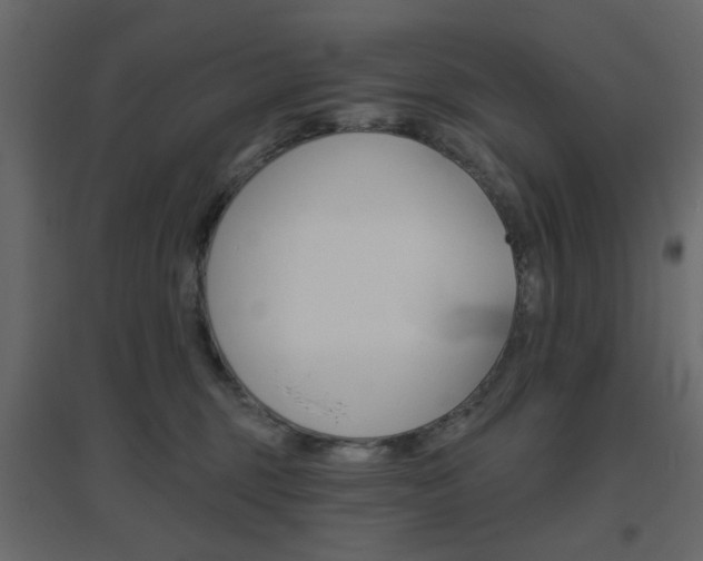 X0000096630375200802050940