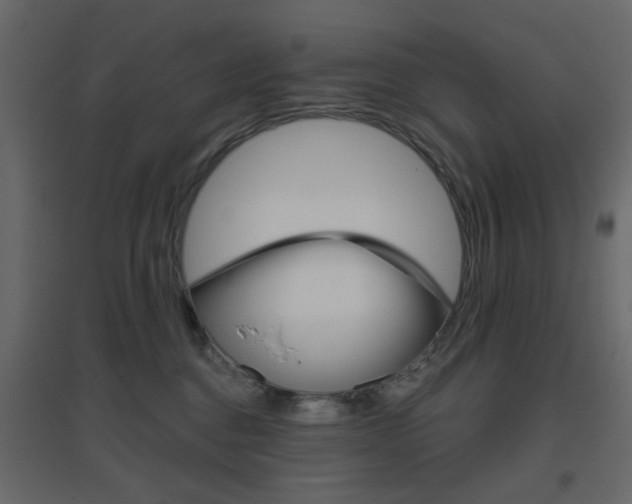 X0000096630376200802050940