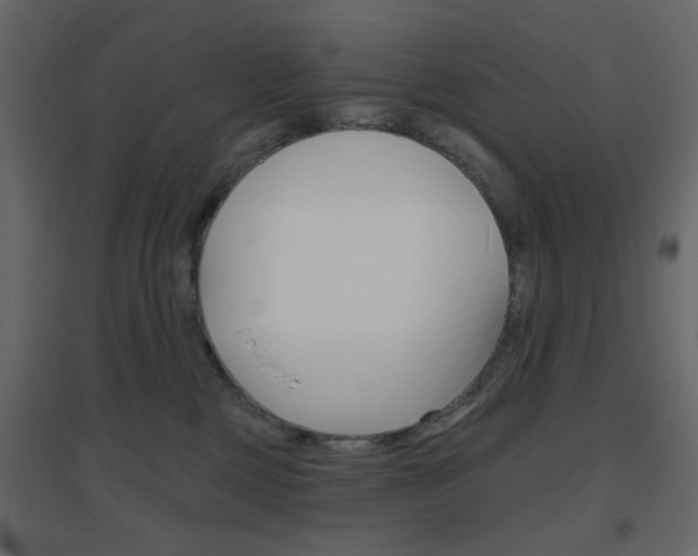 X0000096630377200802050940