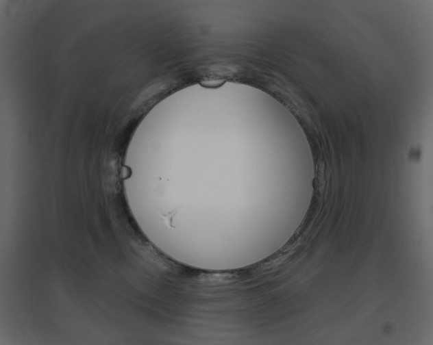 X0000096630378200802050940