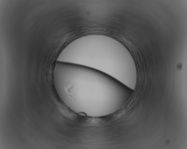X0000096630379200802050940