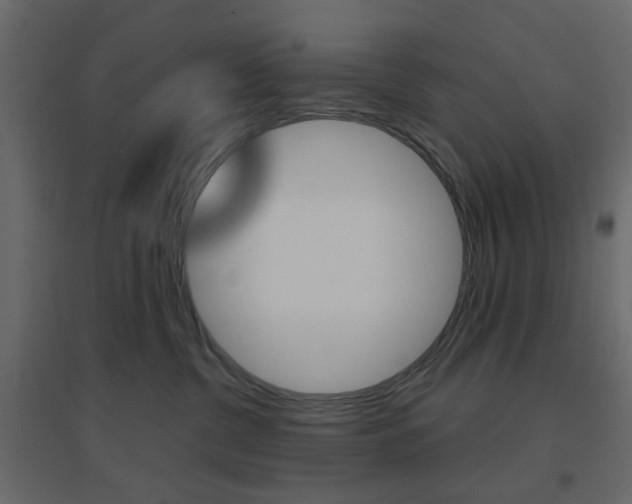 X0000096630380200802050940