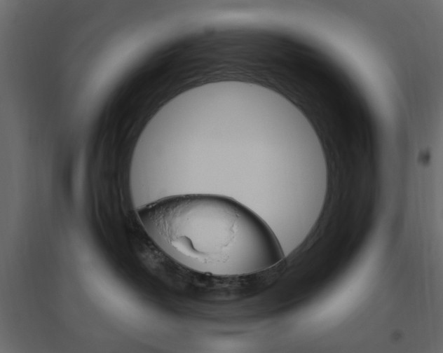 X0000096630382200802050940