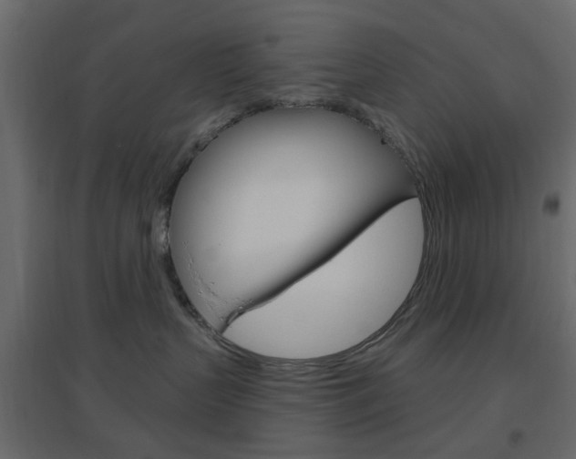 X0000096630383200802050940