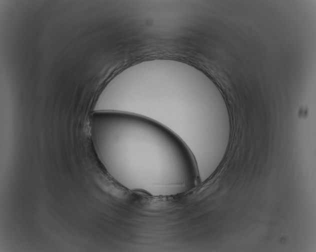X0000096630384200802050940