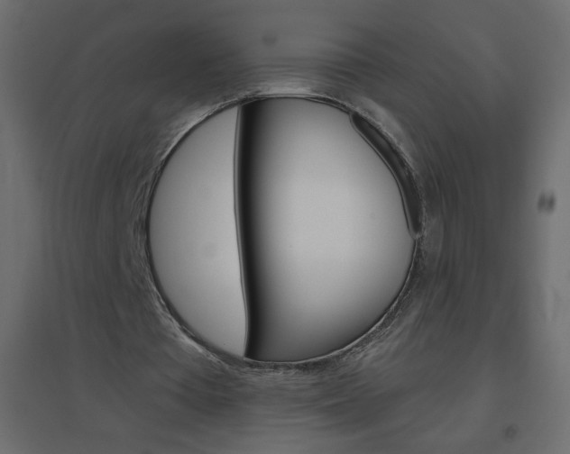 X0000096630385200802050939