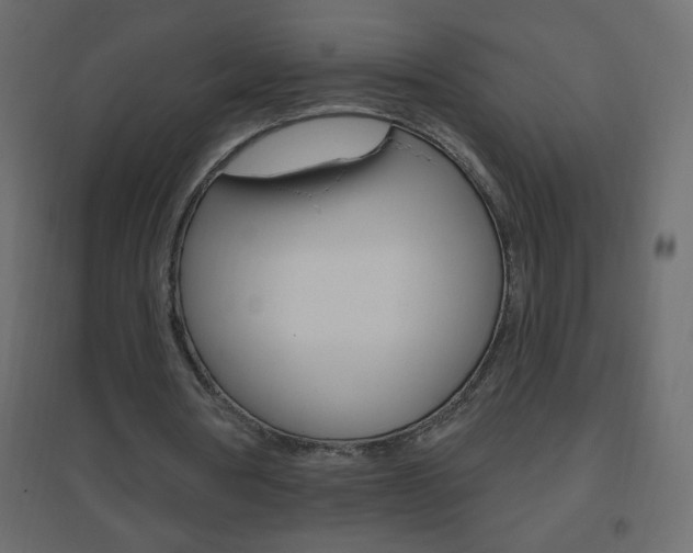X0000096630386200802050939