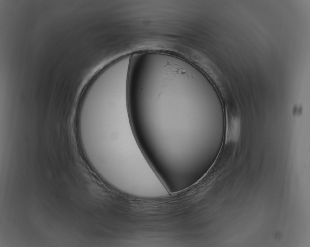 X0000096630387200802050939