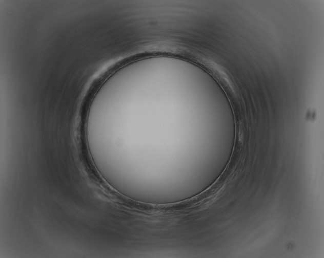 X0000096630388200802050939
