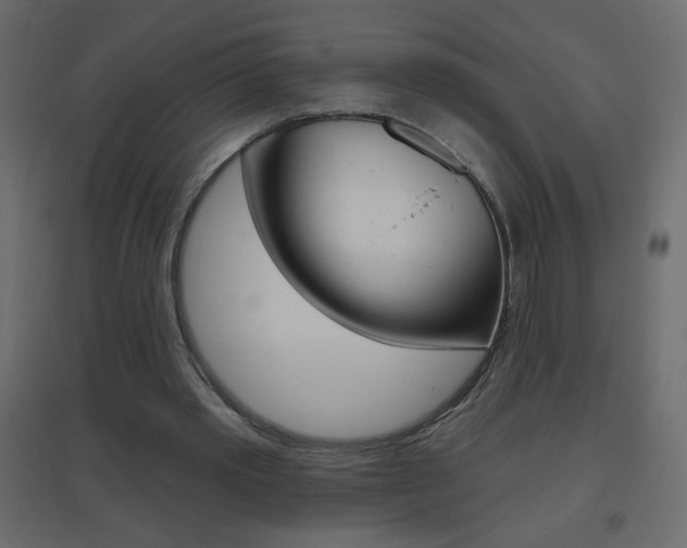 X0000096630389200802050939