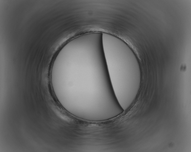 X0000096630390200802050939