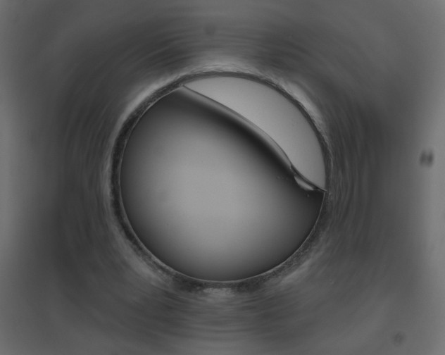 X0000096630391200802050939