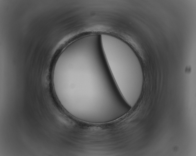 X0000096630392200802050939