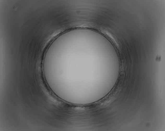 X0000096630394200802050939