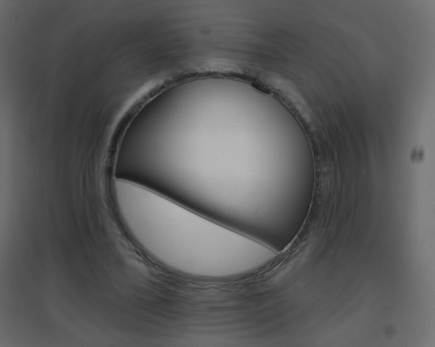 X0000096630395200802050939