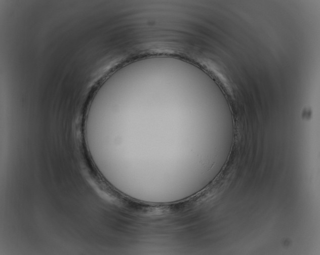 X0000096630398200802050939