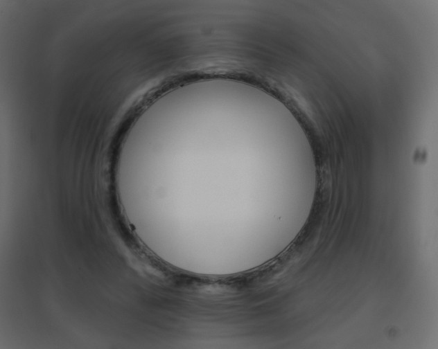 X0000096630400200802050939