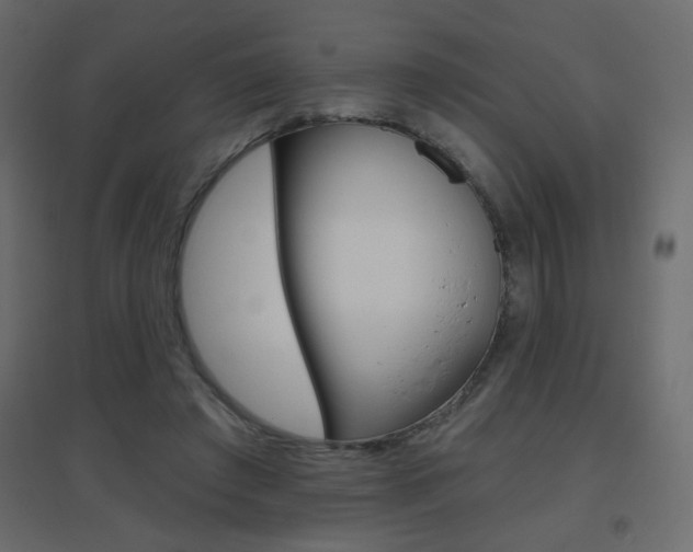 X0000096630401200802050939