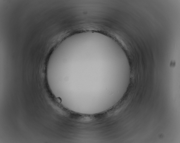 X0000096630402200802050939